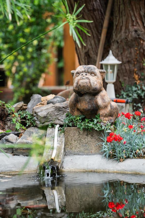 Villa Hortensia バニエール・ド・ビゴール エクステリア 写真