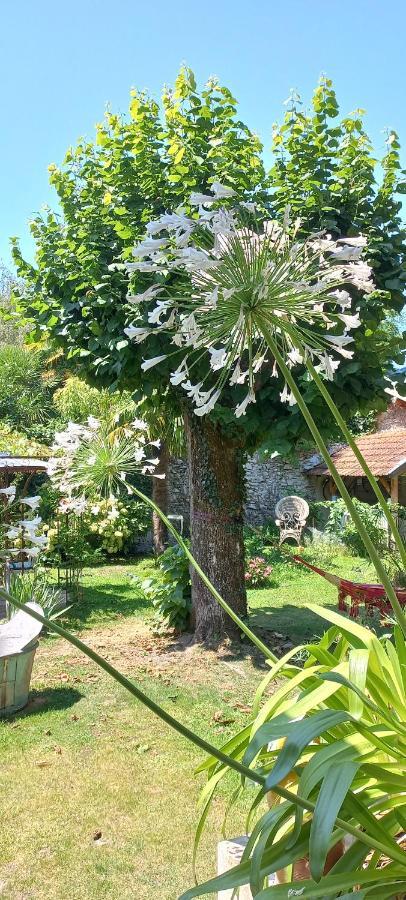 Villa Hortensia バニエール・ド・ビゴール エクステリア 写真